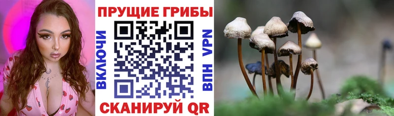 Галлюциногенные грибы мухоморы  Салехард 